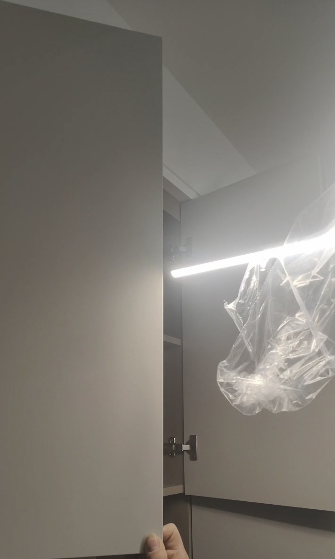 餐厅灯和餐边柜碍事.jpg